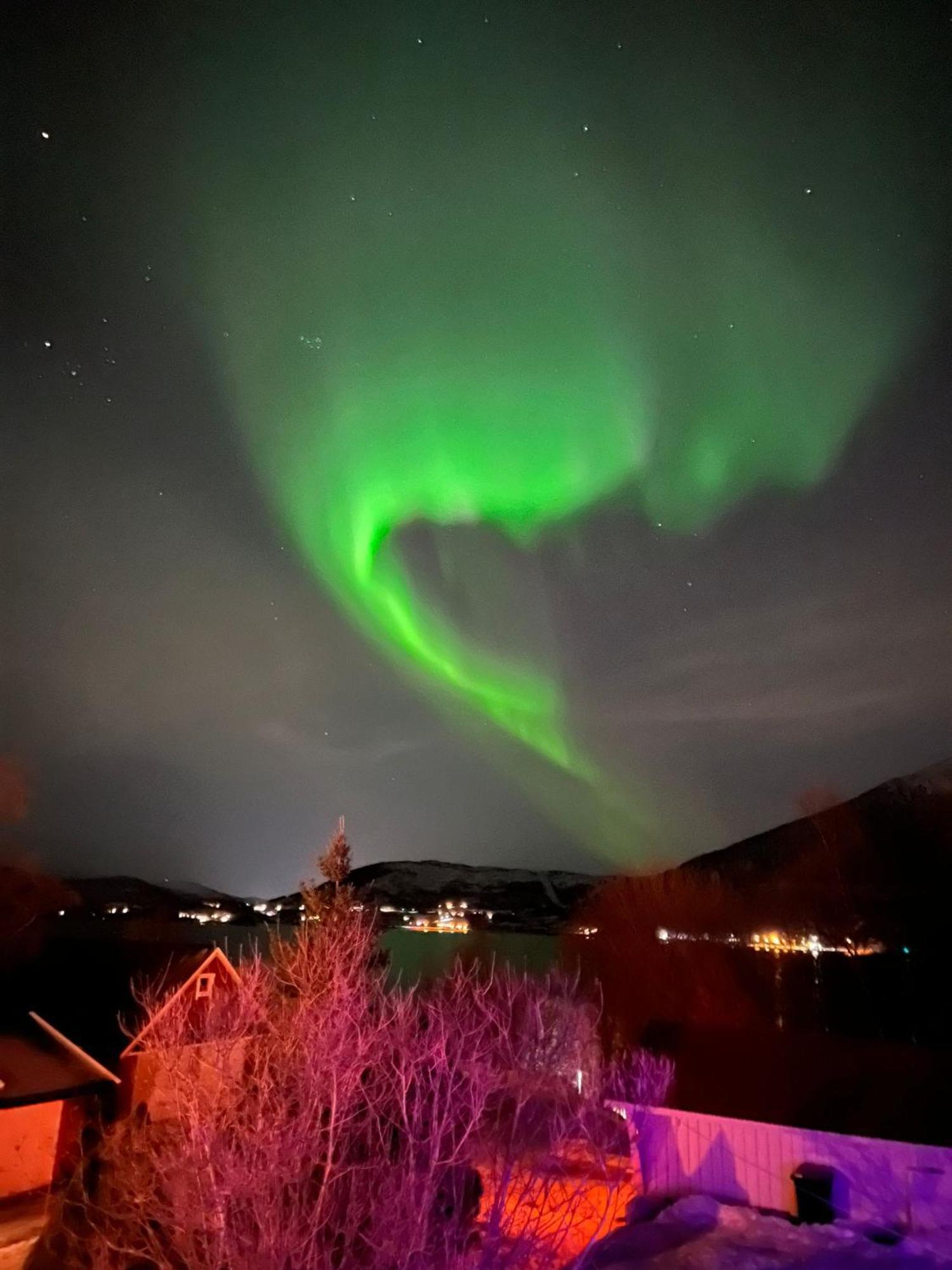 Hotel Evenes Artic Glamping Evenesmarkja Exteriér fotografie